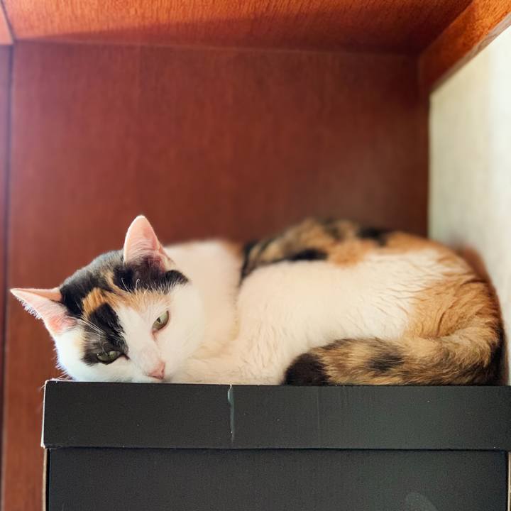 A4644179 ee95 4f2f 96cf 1941c4fc18e4 1596941129090