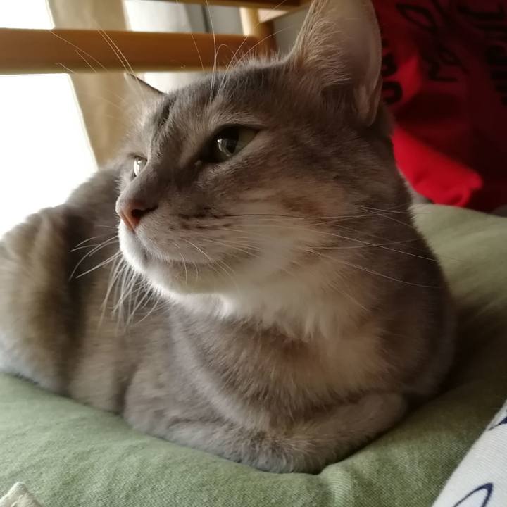 A464435e 9952 4207 81f0 a0ed1c7325a2 1554528885897