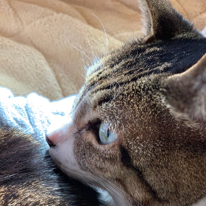 A4644422 346f 4207 a3fb 6e51c47eac3a 1546560740993