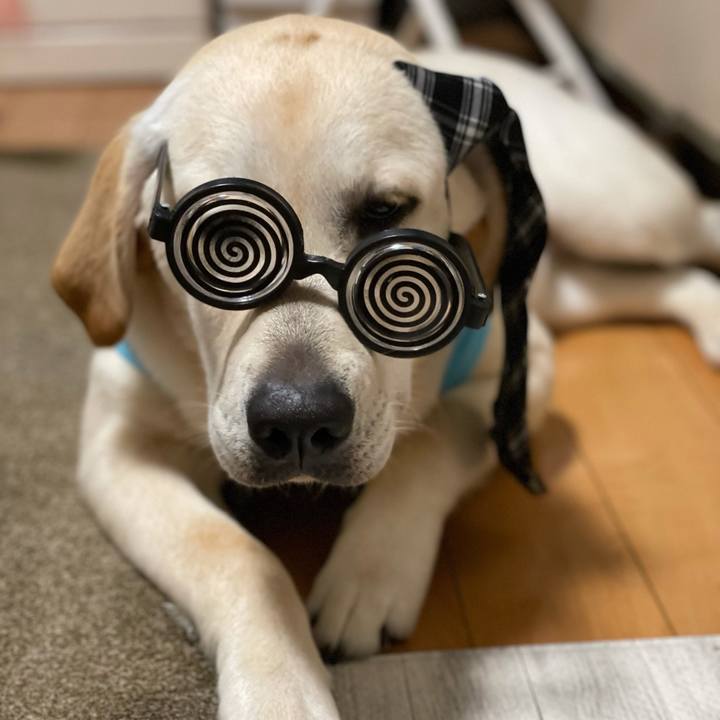 A4647d1e 4488 4148 9cab 6d8157dd186b 1625146451880