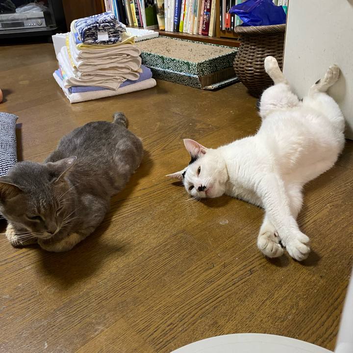 A464802b 8ca7 46c0 87a6 964bcc703655 1597158289196