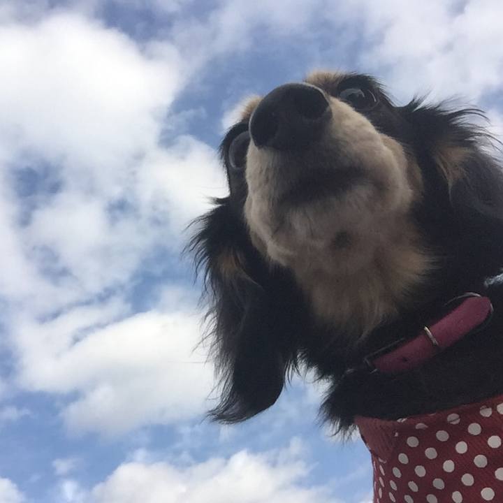 A464bf96 396e 4bda 8e50 31ce137c581f 1510273408385