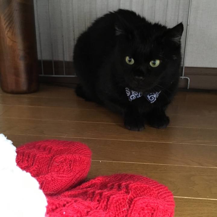 A464cc18 b6f1 4181 b57b 9b20e930f776 1545625828052