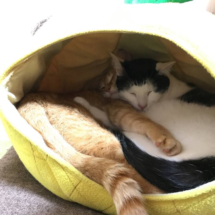 A464e319 4cf4 4960 8326 93e2ca46e74c 1514720009547