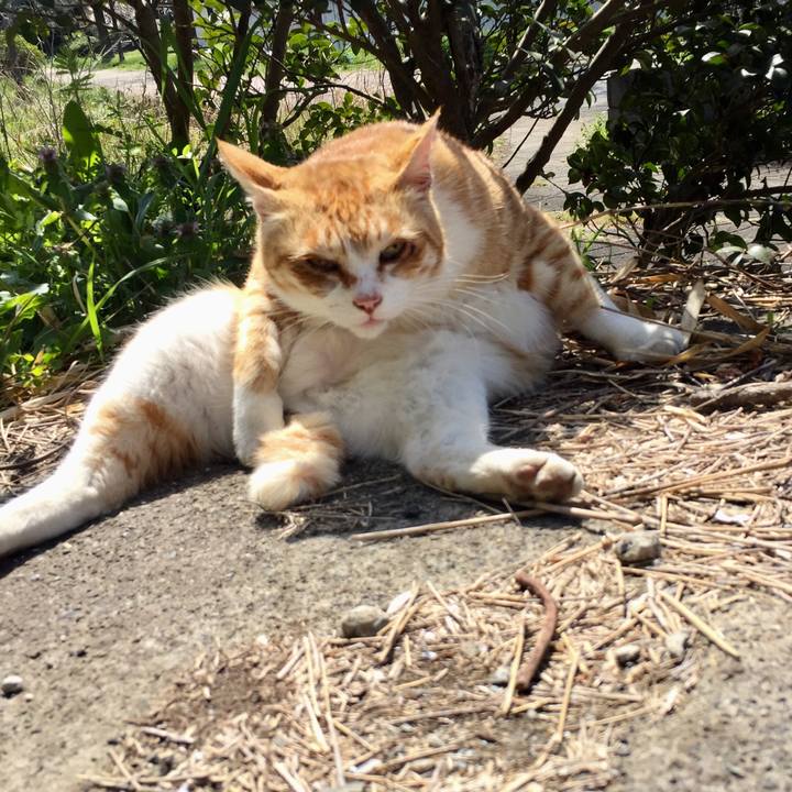 A464e6d8 f460 4fea b9bf 7bbe85a1449c 1584772772566