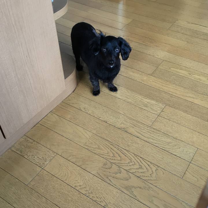 A46516b1 c857 42fb 9248 4a056a49af8a 1537743362282