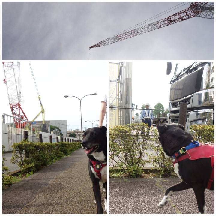 A4655c4c 309b 4ea9 8bf4 ad55d2851d4c 1685928171790