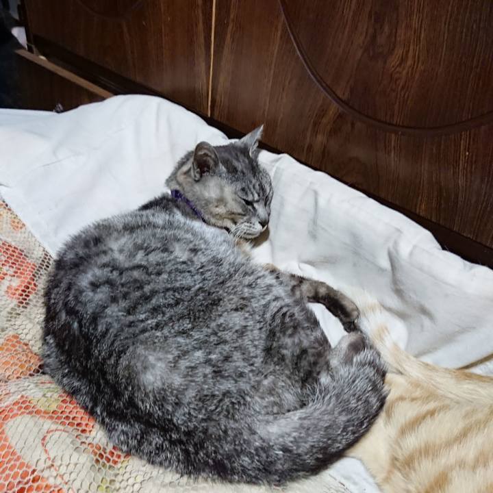 A465671f db26 4cfc bd6e baa4f23da359 1591366241221