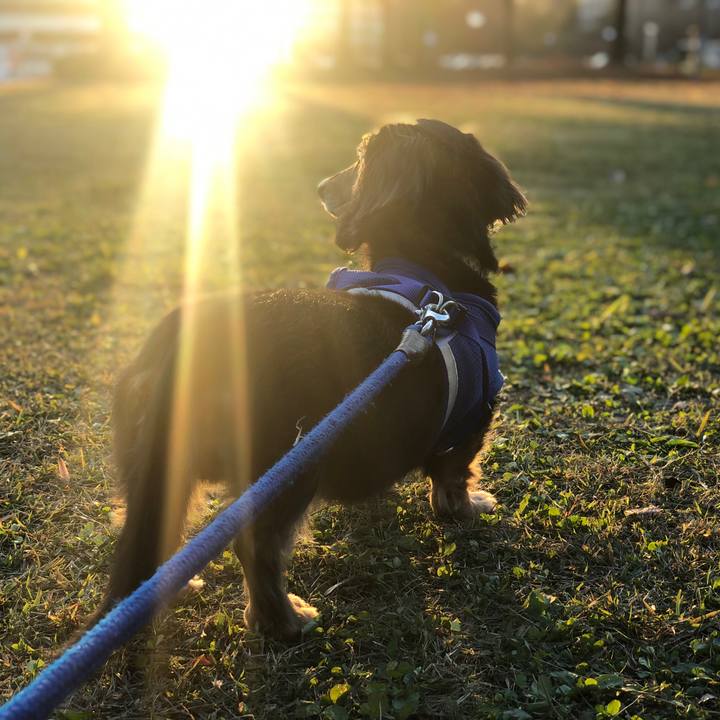 A4656c9d bb75 49d0 8f10 128d9bc57089 1613614046478