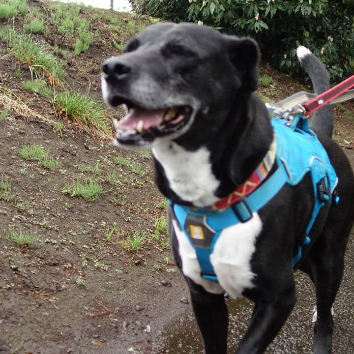 A4657f58 2db4 47c2 bbc0 74434e72dc49 1713744724104