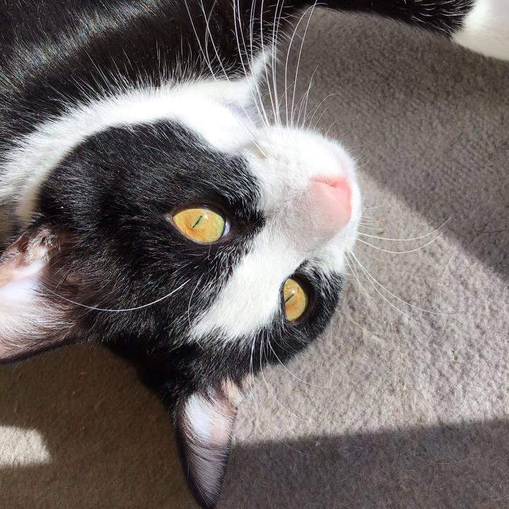 A46588e9 fc51 44d0 8fd8 f18b3030810e 1641541429096