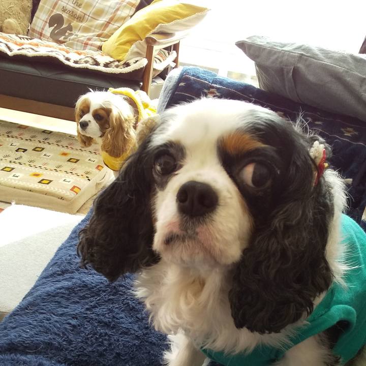 A465c10b 44dd 4af4 b028 0e908baaec62 1603865283010