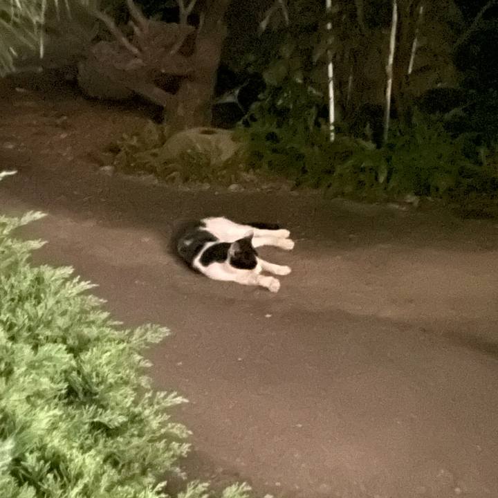 A4666297 e439 4235 949a 52a29ff63ce9 1627486334592