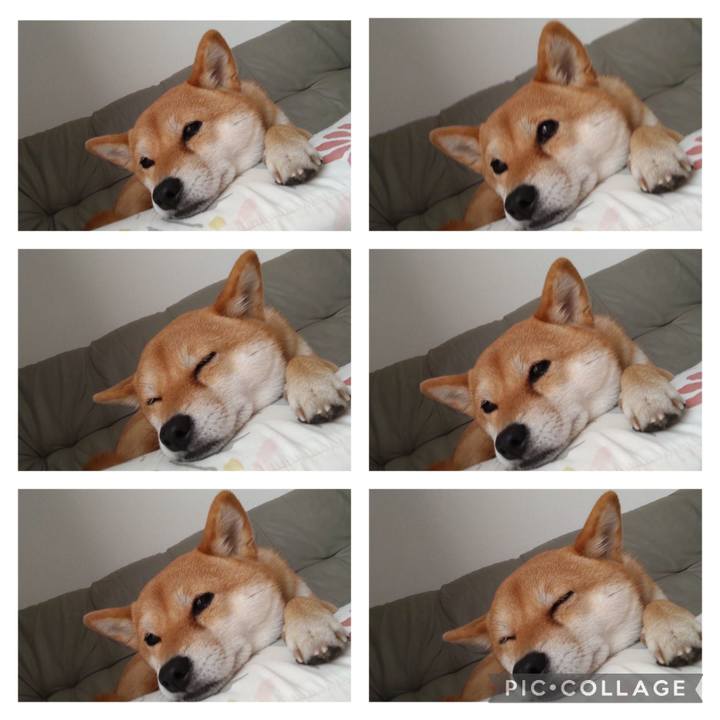 A4667419 6711 4a7b a5ba b45fde83f154 1678594420329