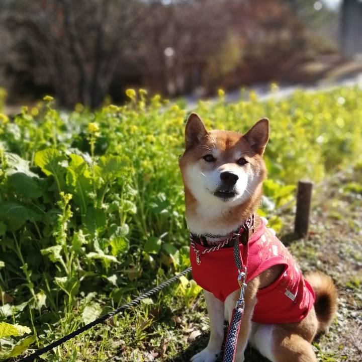 A4668e78 6353 4674 bf74 5900e3faa0ed 1639998646951