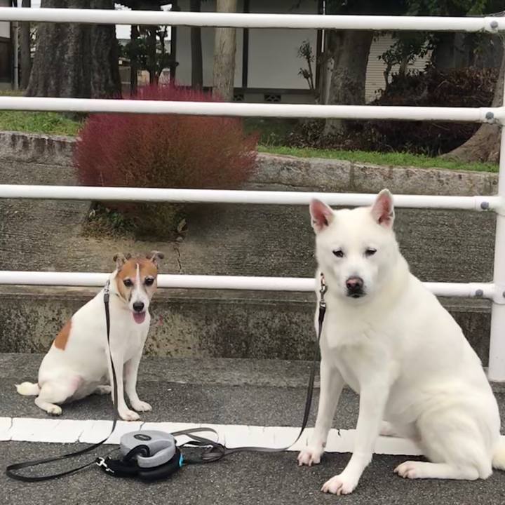 A466a42b 3c06 42cd a23e af1f24a00214 1539478982514