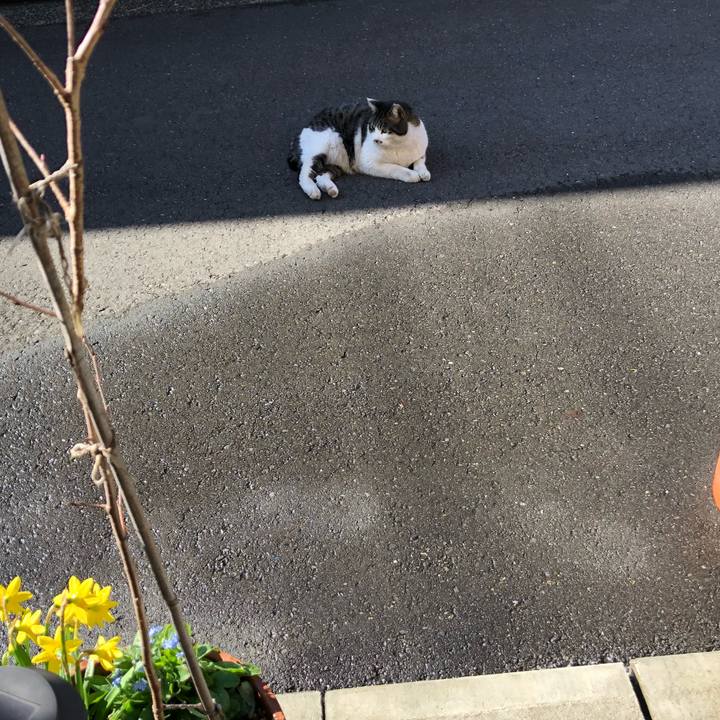 A466c7d6 5164 47bd 924e f5e61c379021 1514191191940