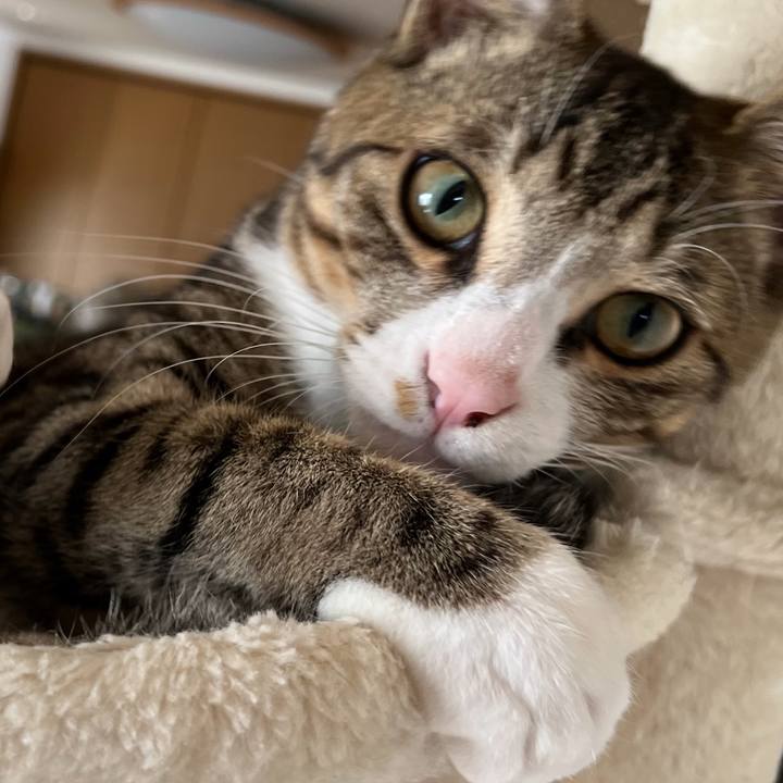 A466d838 7752 46ec b2c1 c47dd523fee2 1667604934203