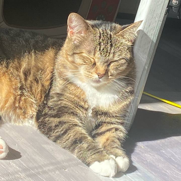 A466e138 2686 4cb4 87e5 404323aaaa47 1636941007984