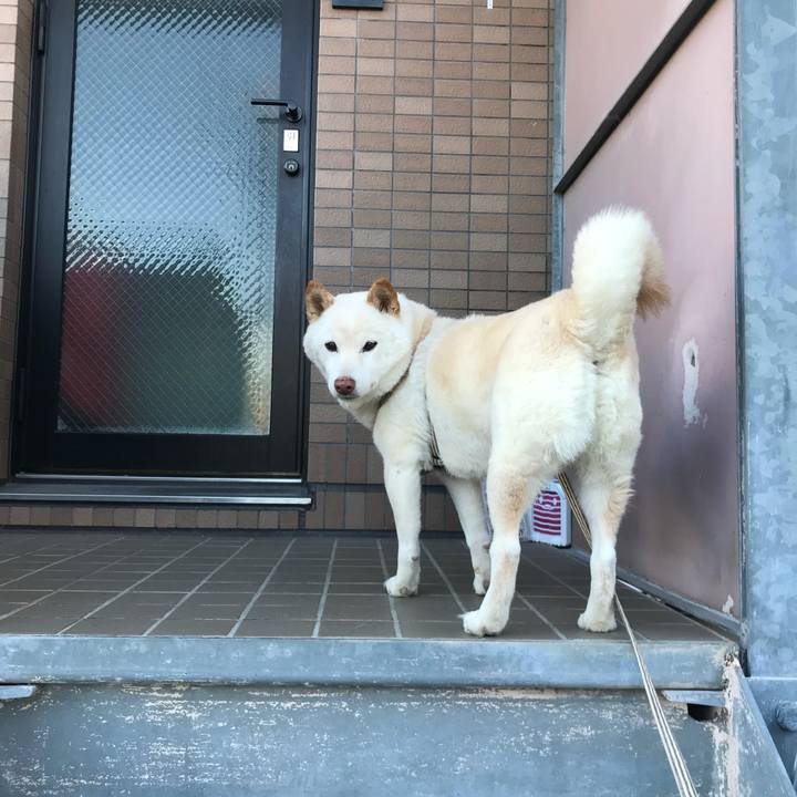 A4670beb 73d4 41c8 b8c8 88caaa5ad57f 1640786986232