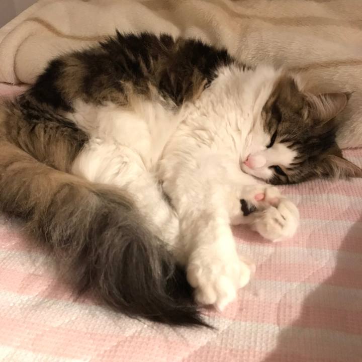 A467273b 6951 4626 a5fd 719363eee8dd 1524846336625