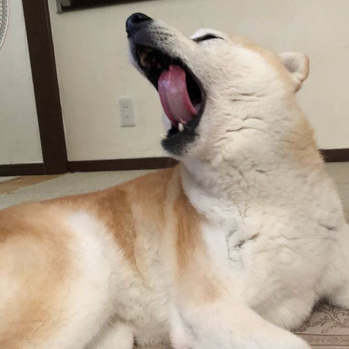 A4672e4a fac2 4642 b711 1f29047e4278 1562479785311