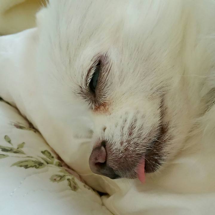 A46730ce 43bd 4327 862f ee270c5023ee 1509847485089