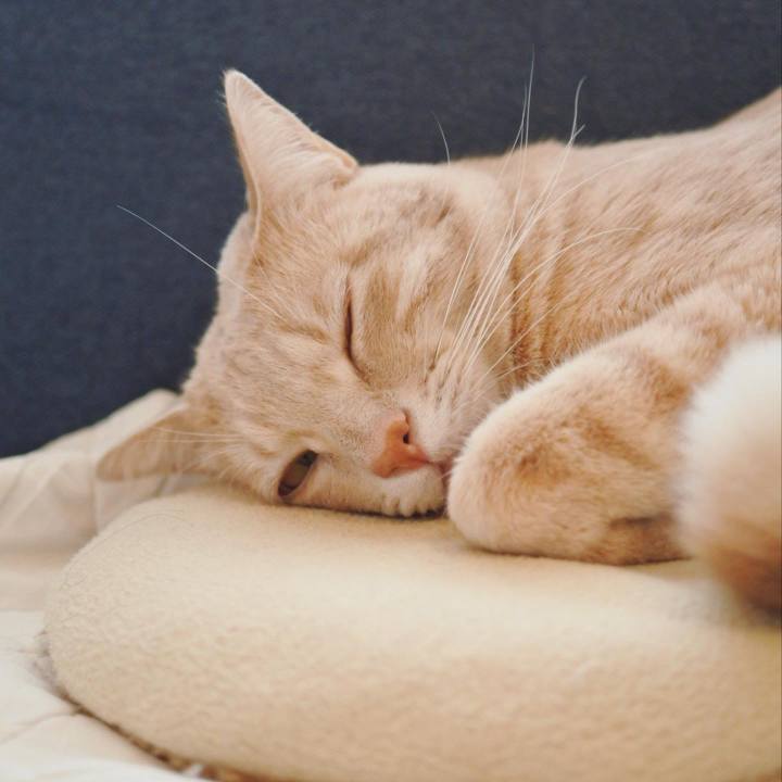 A4679417 0412 44ac 9eca f8fc592e90b8 1642917496516