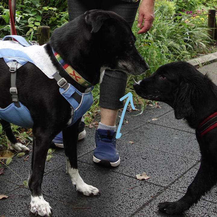 A467dd74 2b12 48bb a9b1 a72a2209bddb 1721522163525