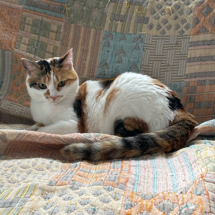 A467def3 a775 438a b4cd fdb80b54eb54 1619924715502