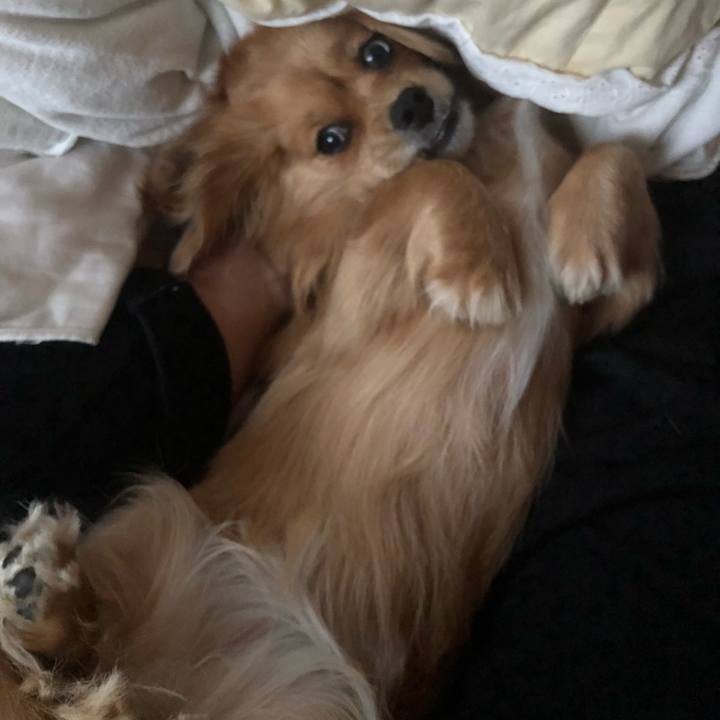 A467eeb3 0603 4808 9154 0a0823c9def6 1521583821450