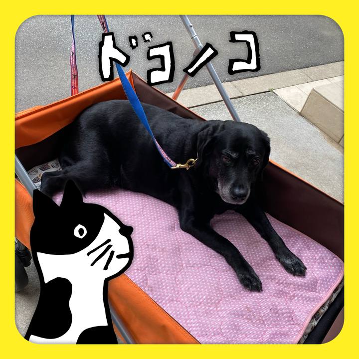 A468131b 1a1c 4bb5 9782 0de126ea76fd 1622880179848