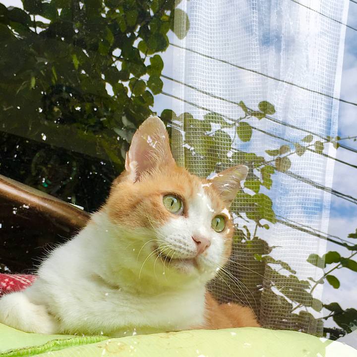 A46825c9 afb4 44af 8683 7f9b0a32ac64 1600327992766