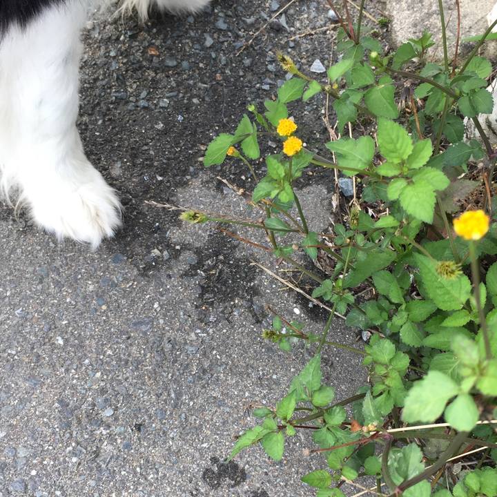 A4682efb 2062 414d bc64 ba98471a53ed 1562713487207