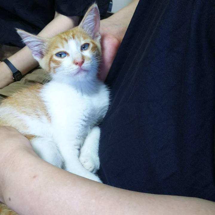 A4683fef e411 419b a5e2 fe9a55be6edb 1531644401836