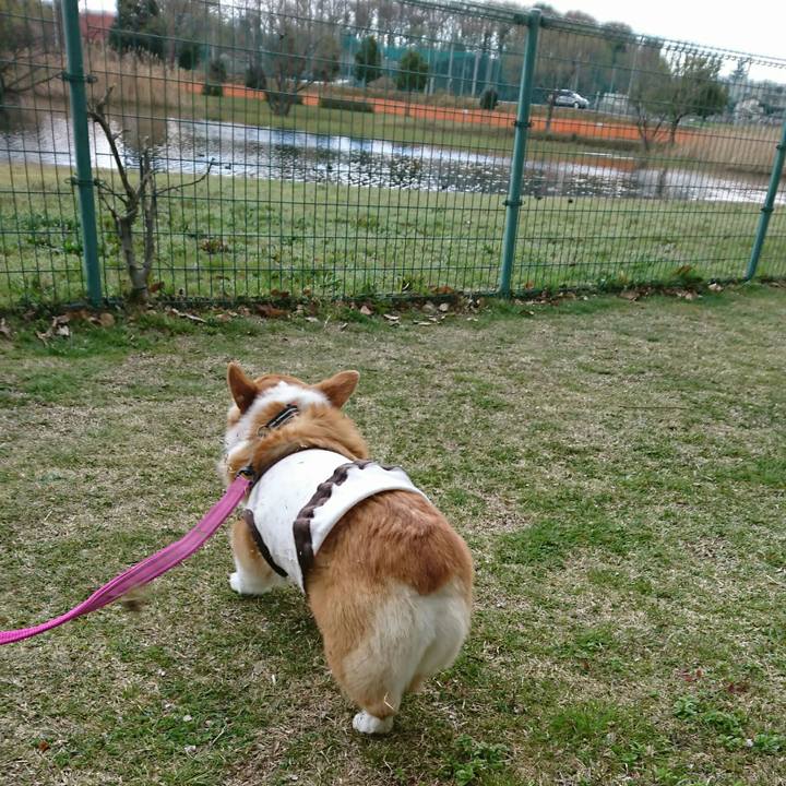 A468979e 5b9a 410a 8713 f50c1003d331 1554445514987