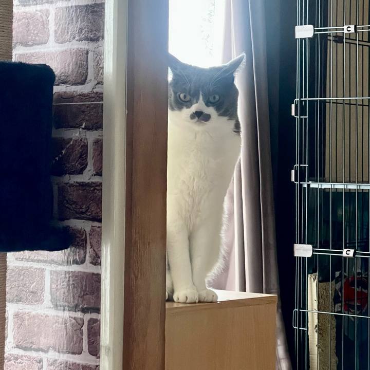 A468b738 20f5 4260 adf1 2d9fc8e6d637 1659511605266