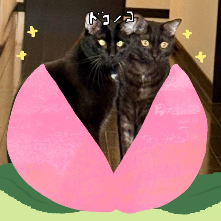 A468da56 891d 414b a71f b8fa218f650b 1771903162056