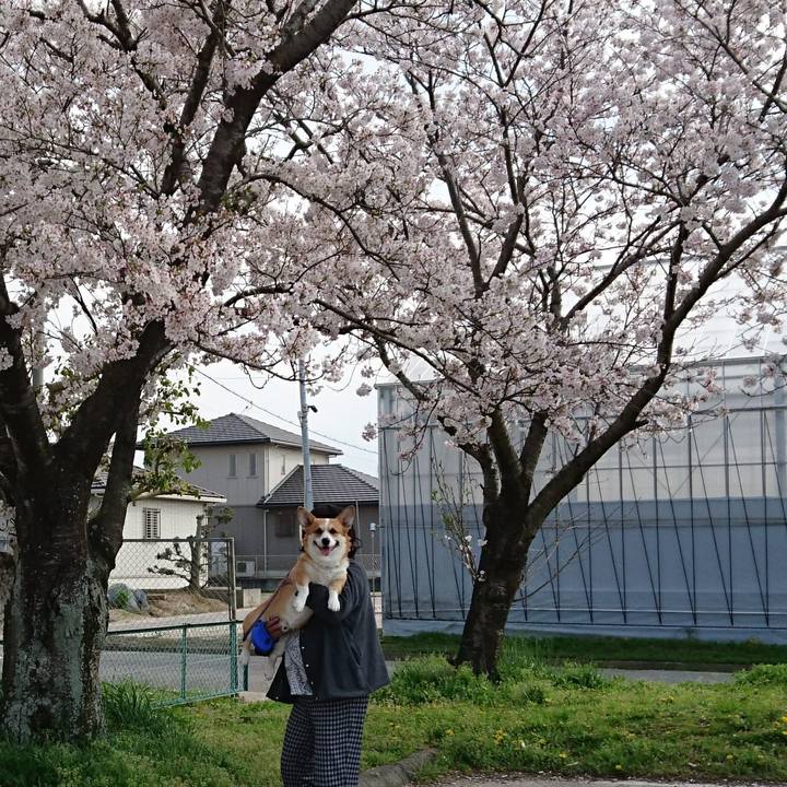 A468f951 4372 4c79 8cbc ae7e56b1ac93 1585981139900