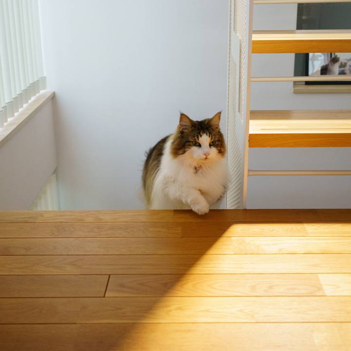 A4690289 62fa 49ac ab30 908d3f34f470 1659490264174