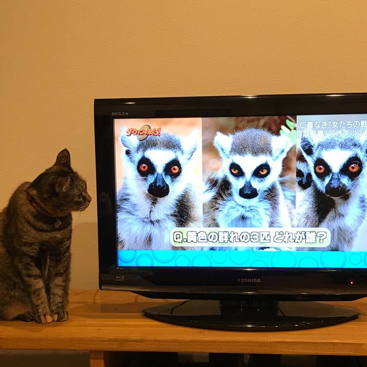 A4691b3e 18cf 4bbd 93f0 93368d4ac43a 1551004557270