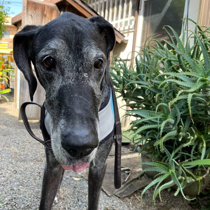 A4691ec7 452e 48e5 9b34 c5f321e355b8 1651725916119