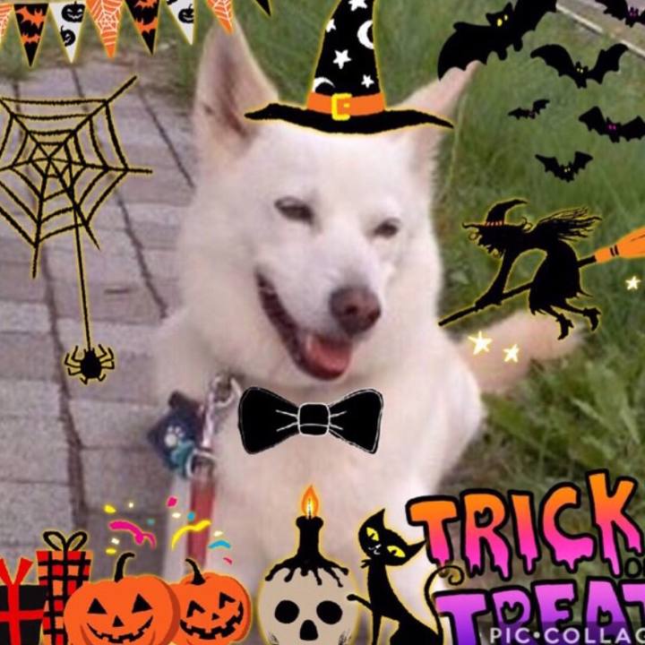 A4692bf4 1df4 4cd5 80ff 6407b28a5700 1540987041869