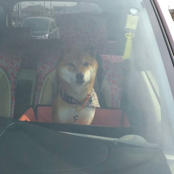 A4693745 1dd4 43f6 b3ff 693e27fa45bc 1519610928174