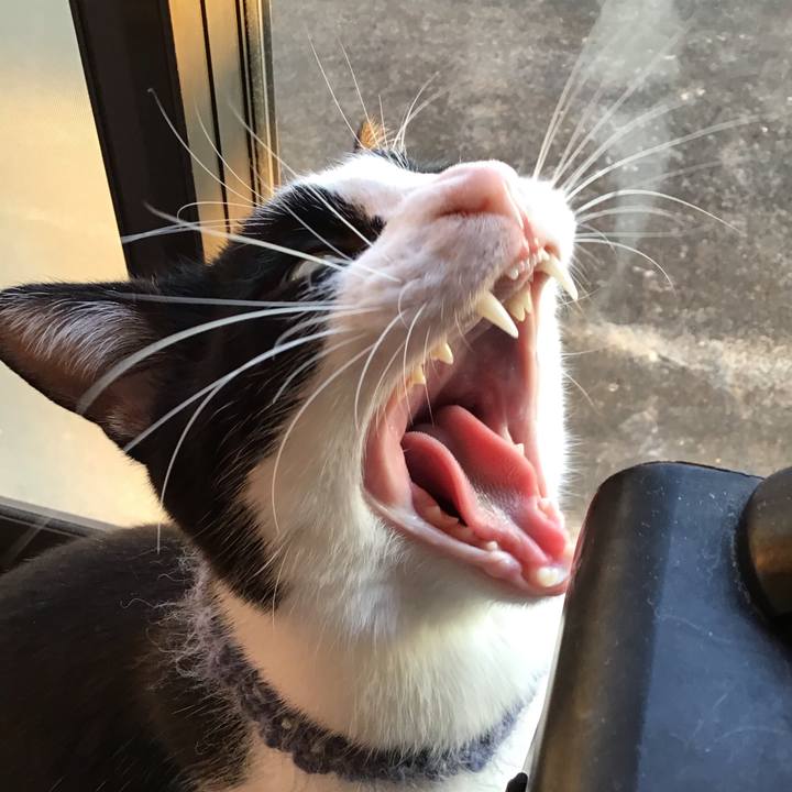 A4699c54 c0e6 4130 b52a a1f46c233781 1667561132429