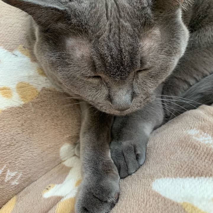 A469a15c 7ffd 4cec 8c7f 78d6eca53c4f 1772512045221