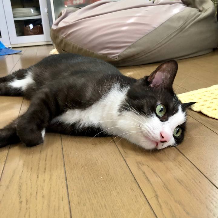 A469bc6f 3d95 4c6a a8fd 878e70f5331d 1597535237752