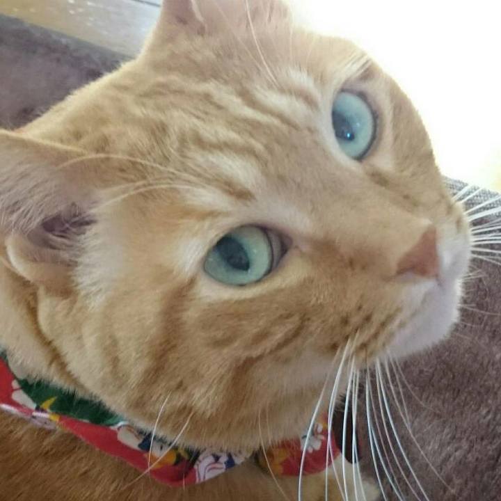 A469db48 4a8f 4083 b708 5472e0b2afcf 1515218949446