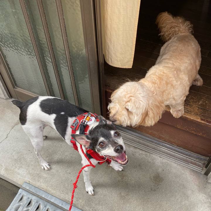 A46a042f 7171 40f4 b4c8 7bb36b50526f 1625872885212