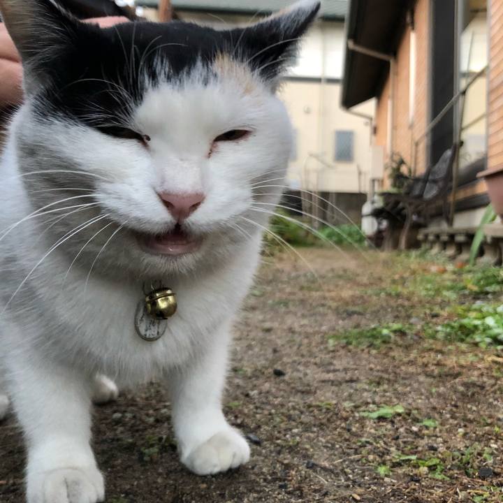 A46a1720 4981 4dbd 8a74 f9eb13688d0a 1609281372567